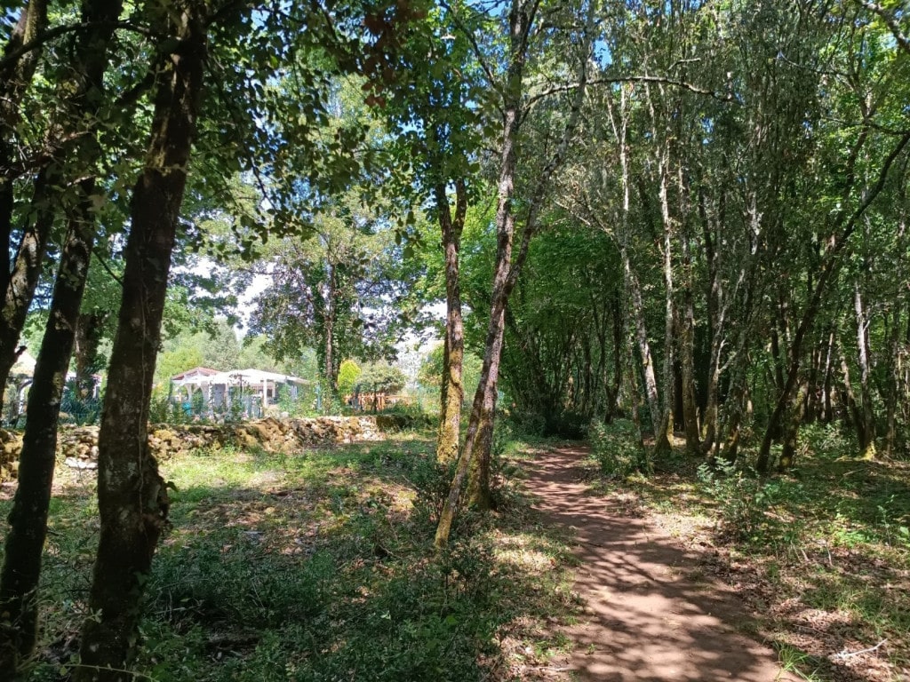 Chemin de randonnée au départ de votre Lodge
