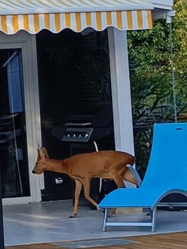 proximité avec la nature